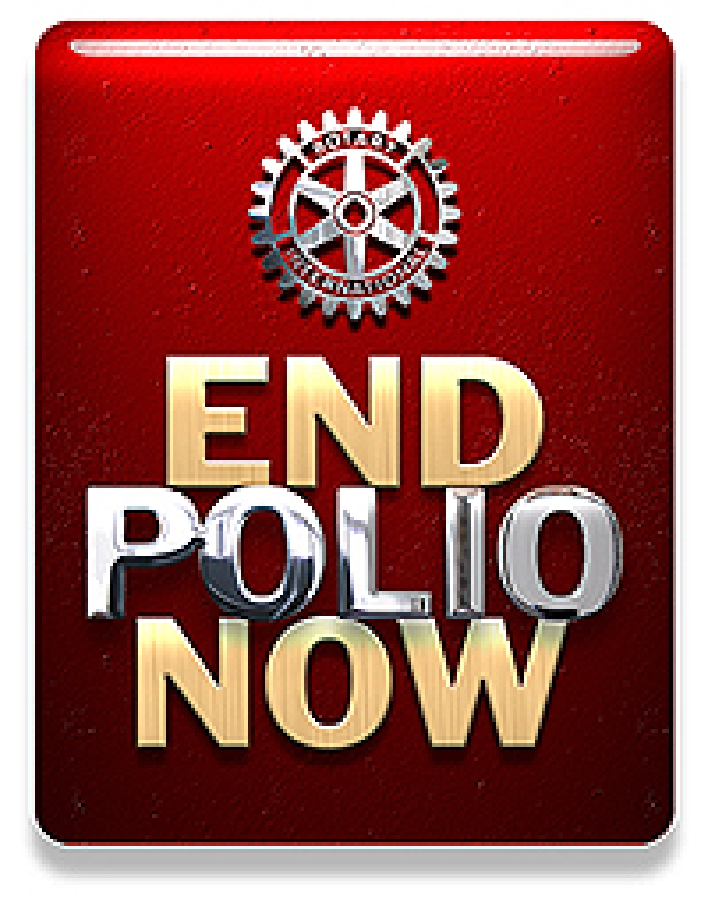 Producto Pin Polio Plus